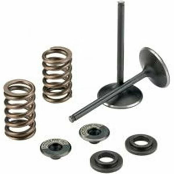 Exhaust Valve Kit, Outlaw Racing, Mfr#: OR5258-EK